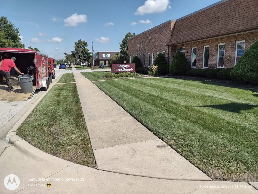 Affordable yard cleanup service for residential properties across Chicago, IL - El Tecomate Landscaping