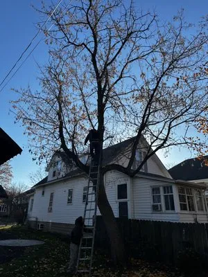 El Tecomate Landscaping Logo