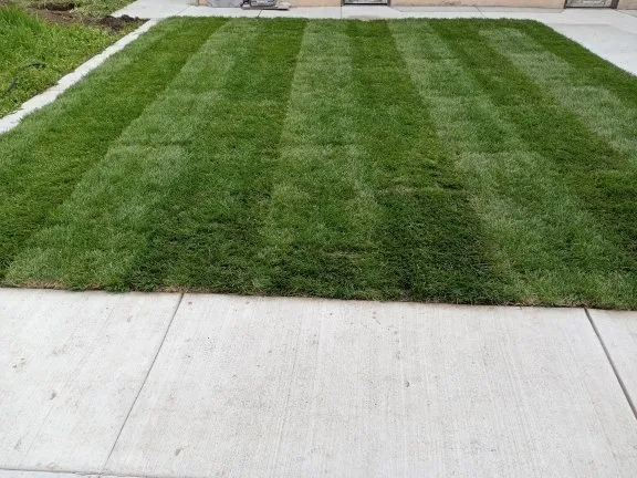 Custom outdoor landscaping in Gilroy, CA by El Tio Concrete & Landscaping