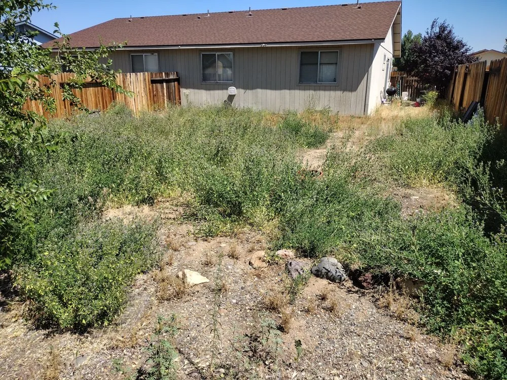 Top-rated lawn mowing service for outdoor upgrades in Dayton, NV by El Tios landscaping