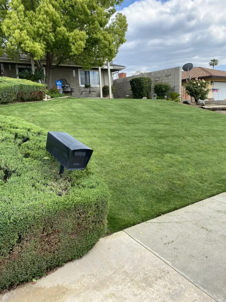Expert outdoor landscaping with custom design across Bakersfield, CA - El Torito Gardening