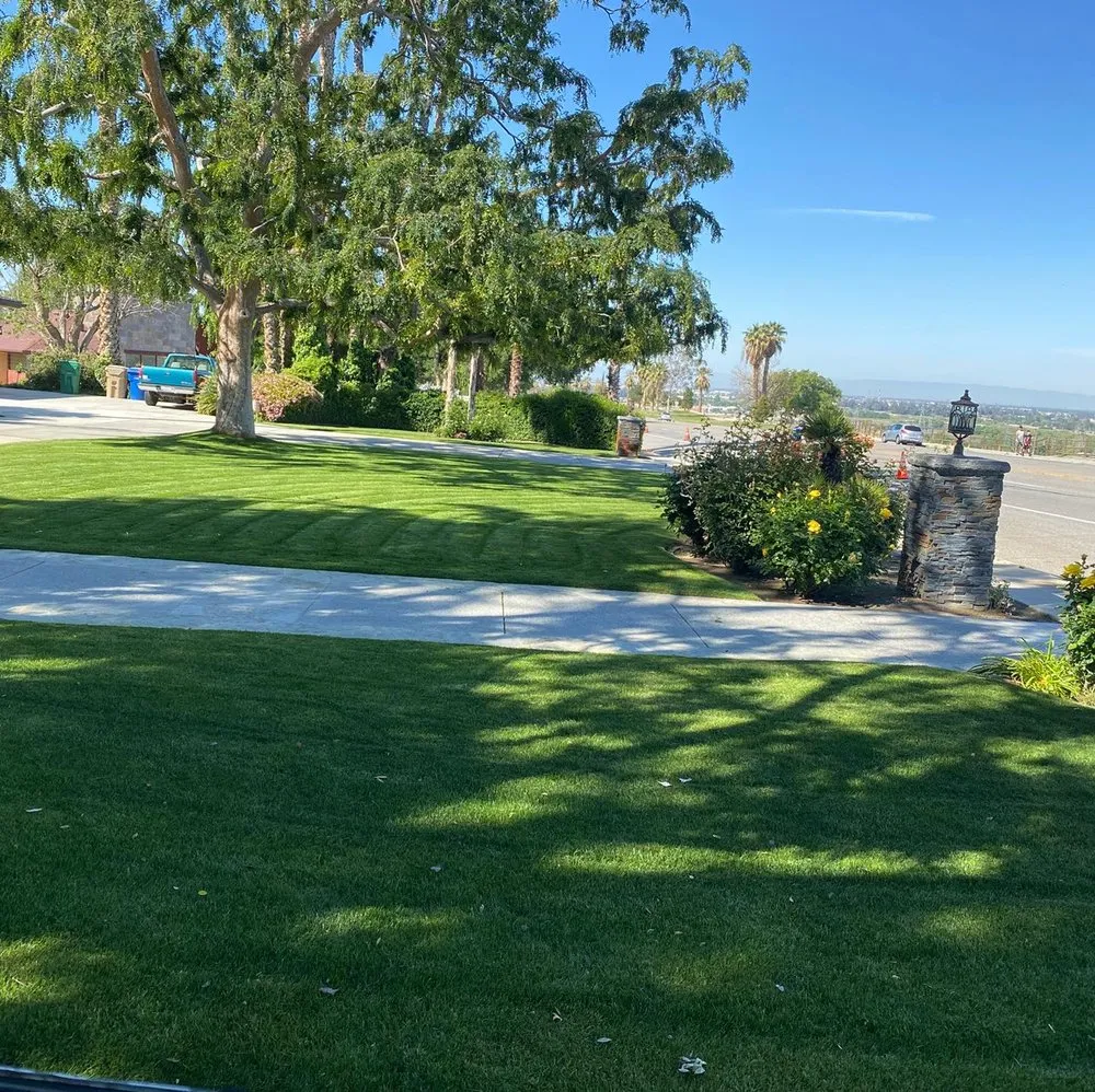 Local lawn care service near you in Bakersfield, CA by El Torito Gardening