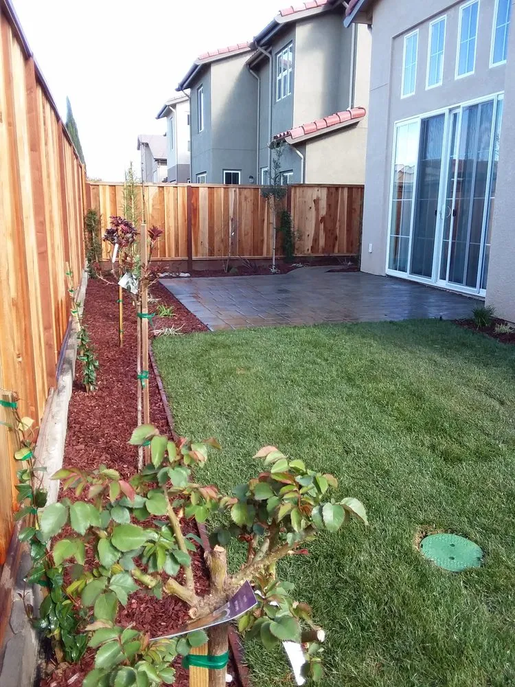 Custom lawn mowing service experts serving Morgan Hill, CA - El Toro Landscape Management