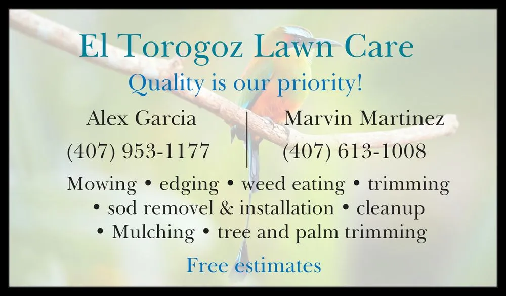Reliable landscape installation in Sanford, FL by El Torogoz Lawn Care