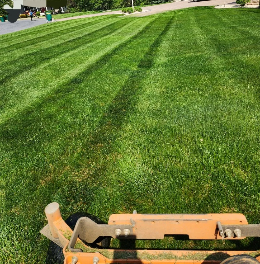 Reliable lawn care service experts serving Highspire, PA - El Vali's Landscaping & Lawn care.