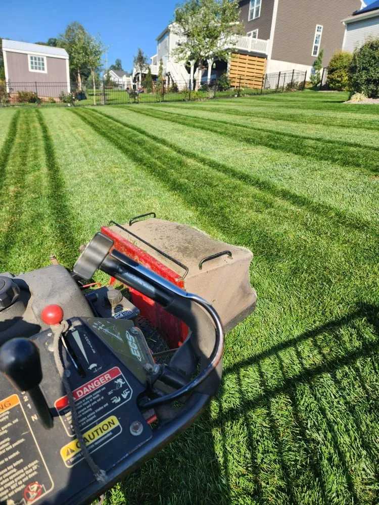 Reliable landscape design near you across Highspire, PA - El Vali's Landscaping & Lawn care.