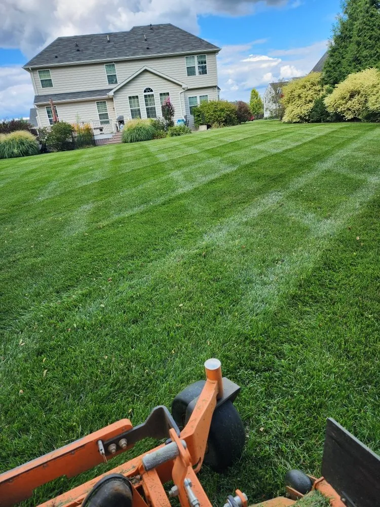 Custom outdoor landscaping in Highspire, PA by El Vali's Landscaping & Lawn care.