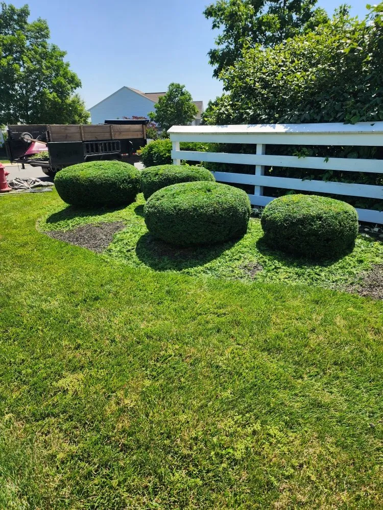 Expert landscape design experts serving Highspire, PA - El Vali's Landscaping & Lawn care.