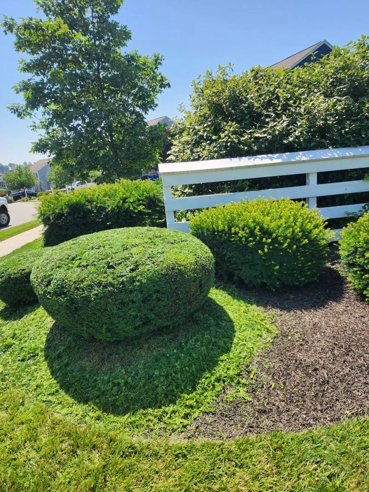 Professional outdoor landscaping for outdoor upgrades across Highspire, PA - El Vali's Landscaping & Lawn care.