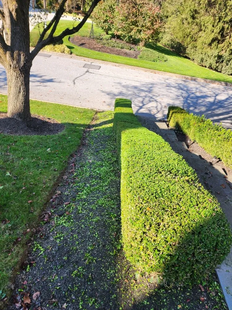 Custom landscape design in Highspire, PA - El Vali's Landscaping & Lawn care.