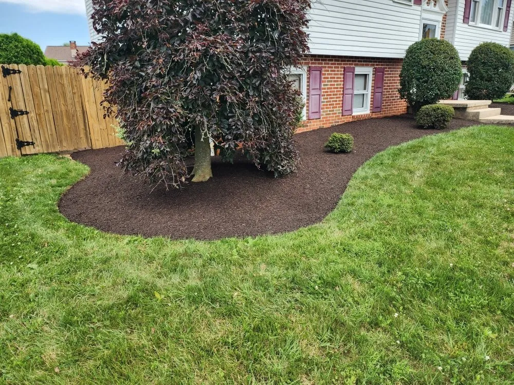 Trusted lawn care service near you across Highspire, PA - El Vali's Landscaping & Lawn care.