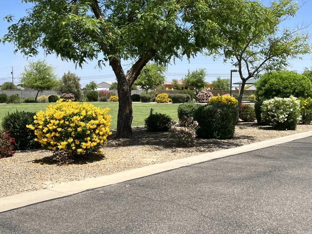 Affordable lawn mowing service experts serving Queen Creek, AZ - Elaborate Landscape Management