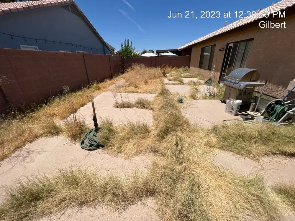 Reliable residential landscaping experts serving Queen Creek, AZ - Elaborate Landscape Management