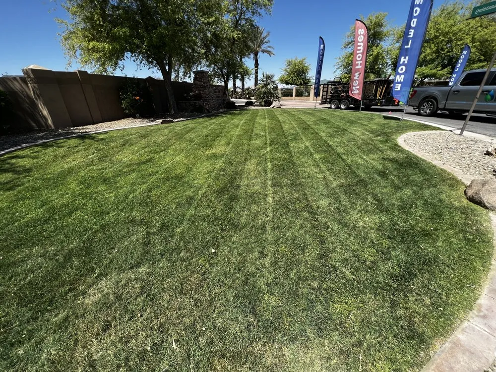 Expert residential landscaping for outdoor upgrades in Queen Creek, AZ by Elaborate Landscape Management