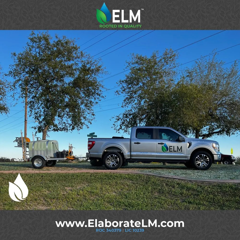 Custom yard cleanup service experts serving Queen Creek, AZ - Elaborate Landscape Management