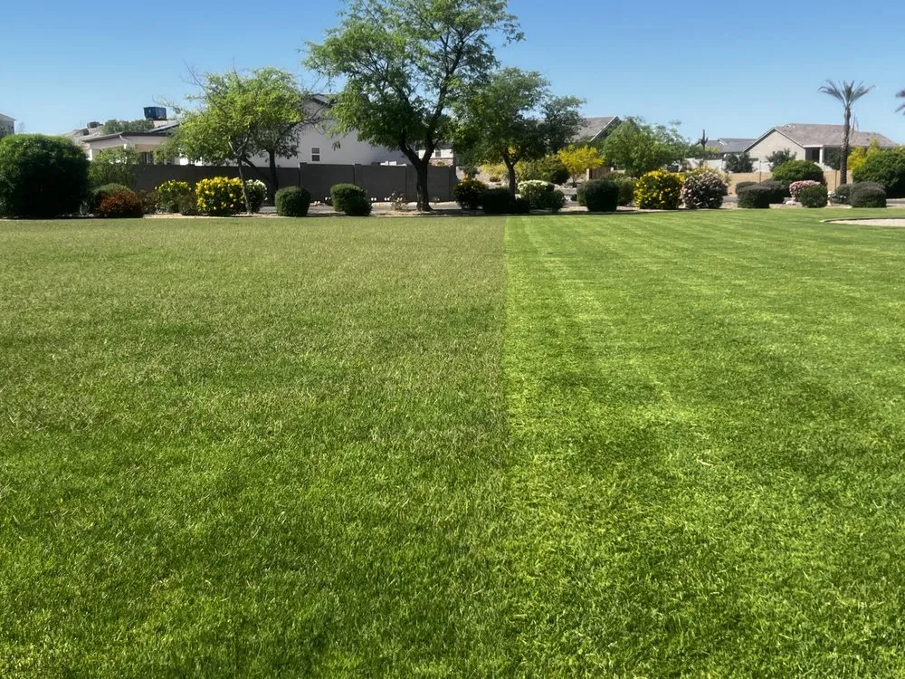 Professional lawn care service in Queen Creek, AZ - Elaborate Landscape Management
