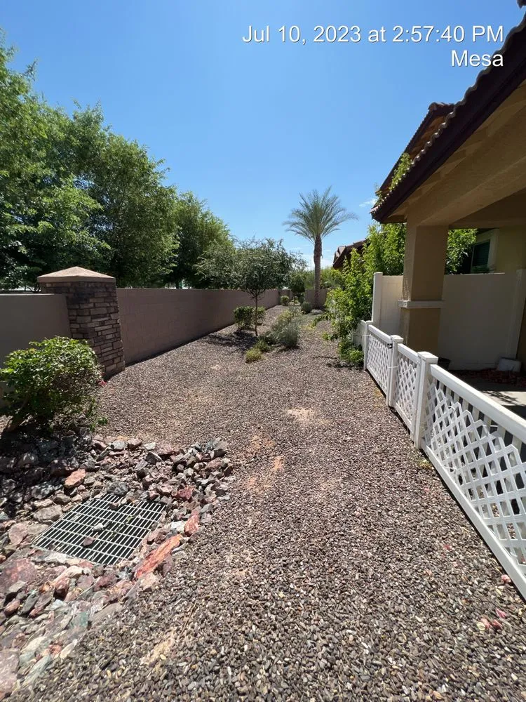 Affordable yard maintenance for beautiful yards across Queen Creek, AZ - Elaborate Landscape Management