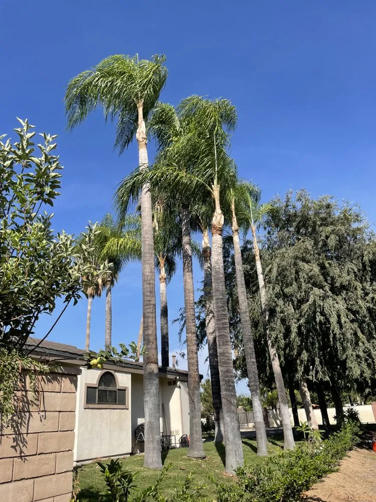 Expert outdoor landscaping experts serving Azusa, CA - Elacio’s Landscape