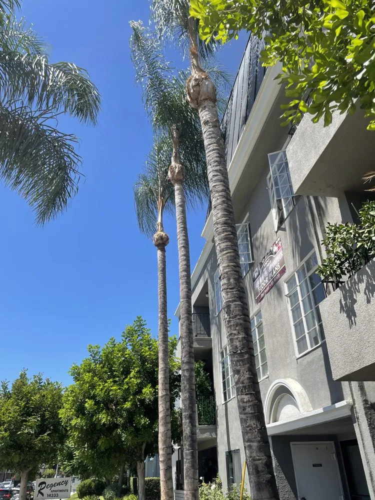 Reliable landscape design for beautiful yards across Azusa, CA - Elacio’s Landscape