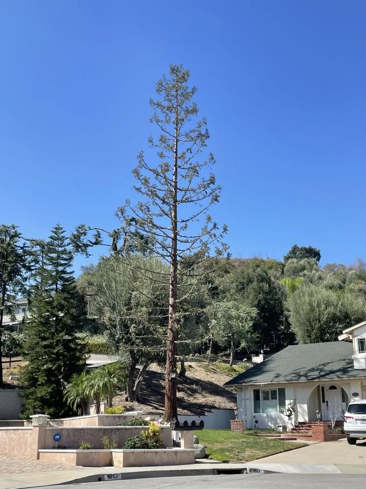 Reliable lawn mowing service in Azusa, CA - Elacio’s Landscape