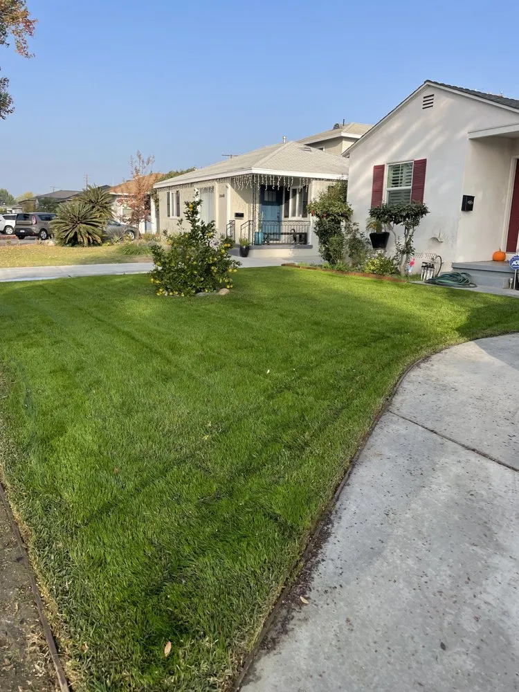 Expert yard maintenance in Azusa, CA - Elacio’s Landscape