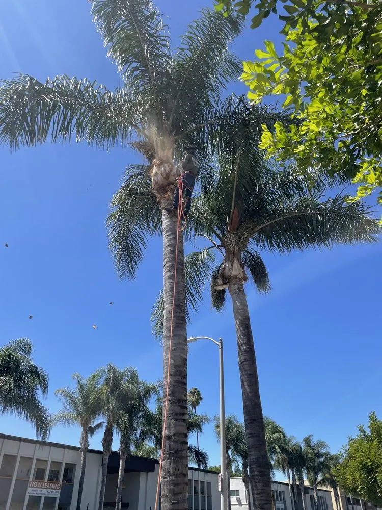 Trusted landscaping services with custom design across Azusa, CA - Elacio’s Landscape