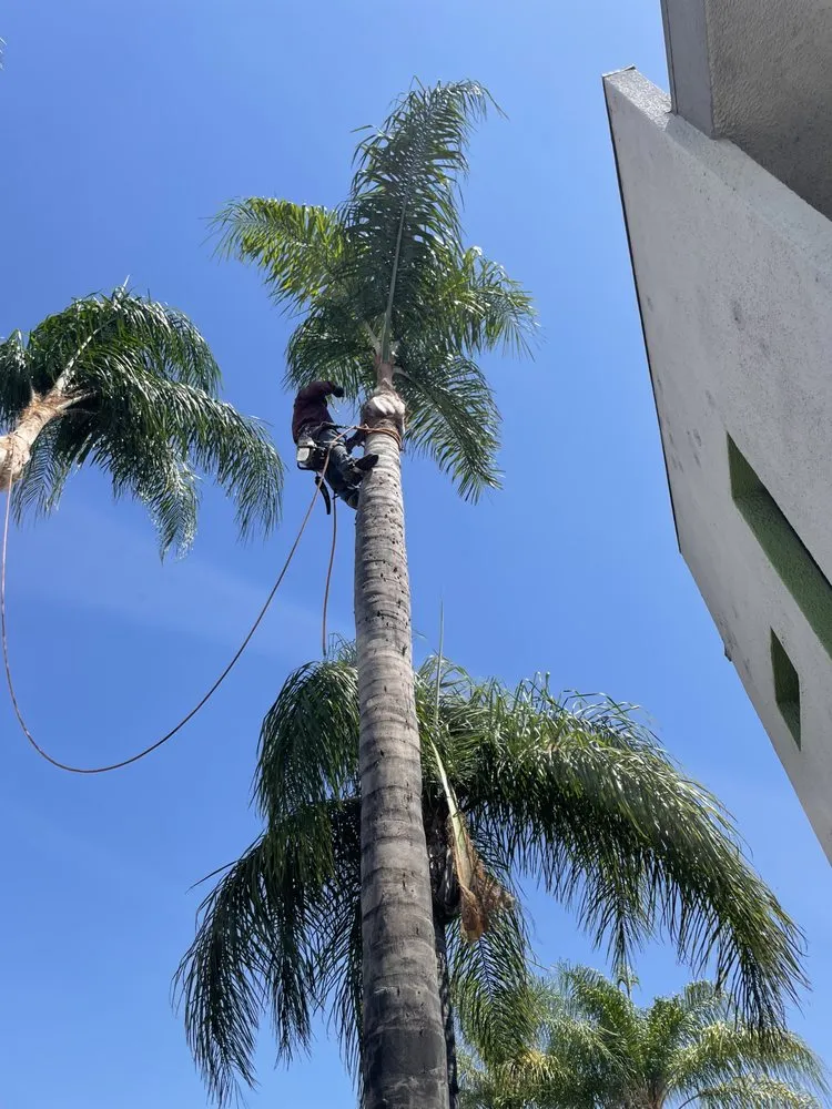 Expert landscape design for residential properties in Azusa, CA by Elacio’s Landscape