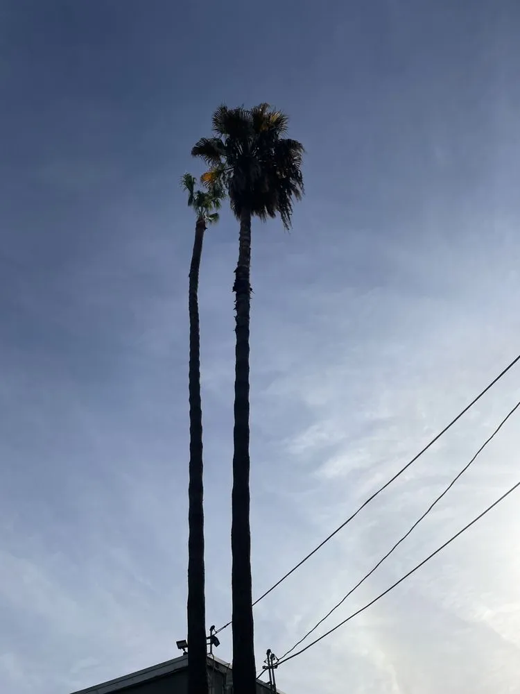 Custom landscape design in Azusa, CA - Elacio’s Landscape