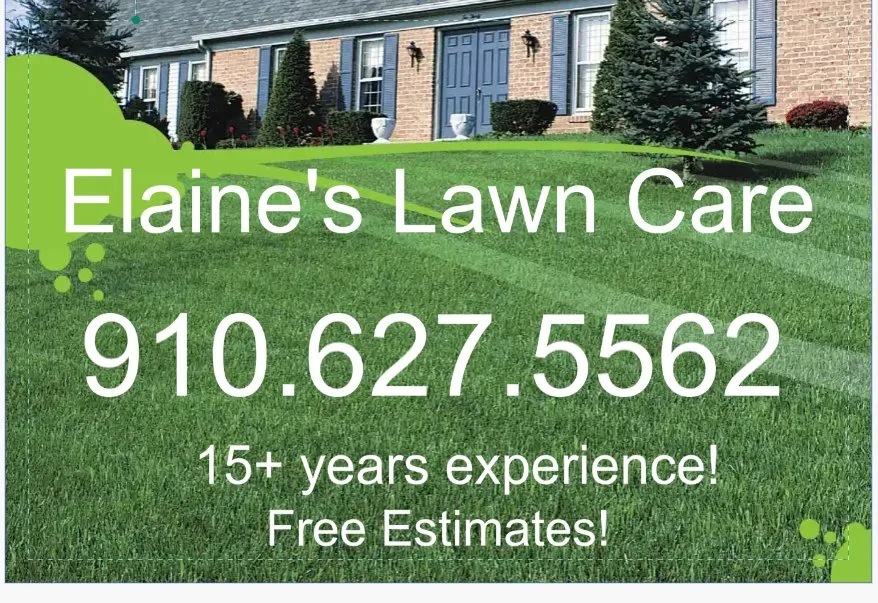 Top-rated lawn care service experts serving Columbia, SC - Elaine's Lawn Care