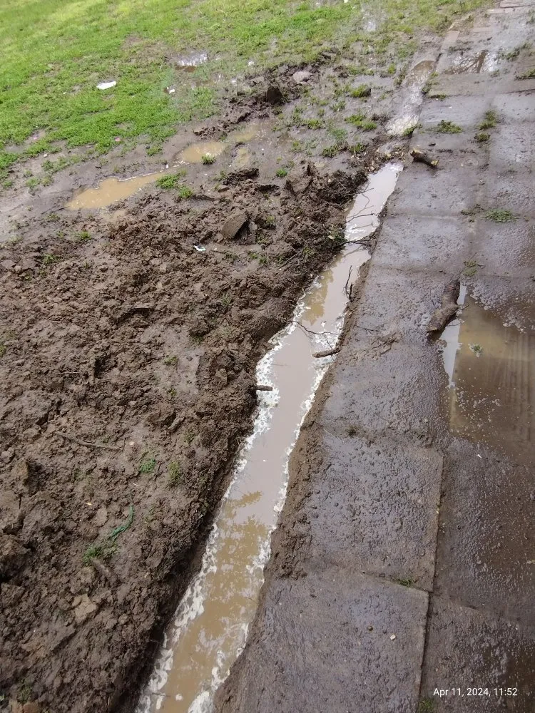 Local landscaping services in Tiptonville, TN by Elam Home Improvement and Landscaping