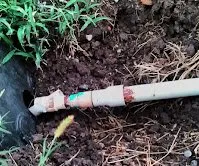 Expert landscape installation for beautiful yards across Tiptonville, TN - Elam Home Improvement and Landscaping