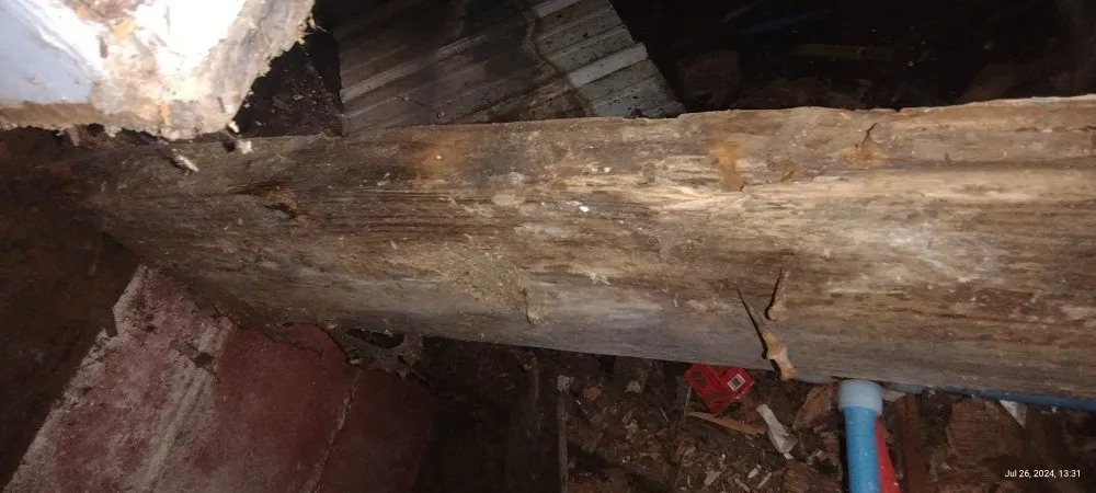 Trusted lawn care service for residential properties across Tiptonville, TN - Elam Home Improvement and Landscaping