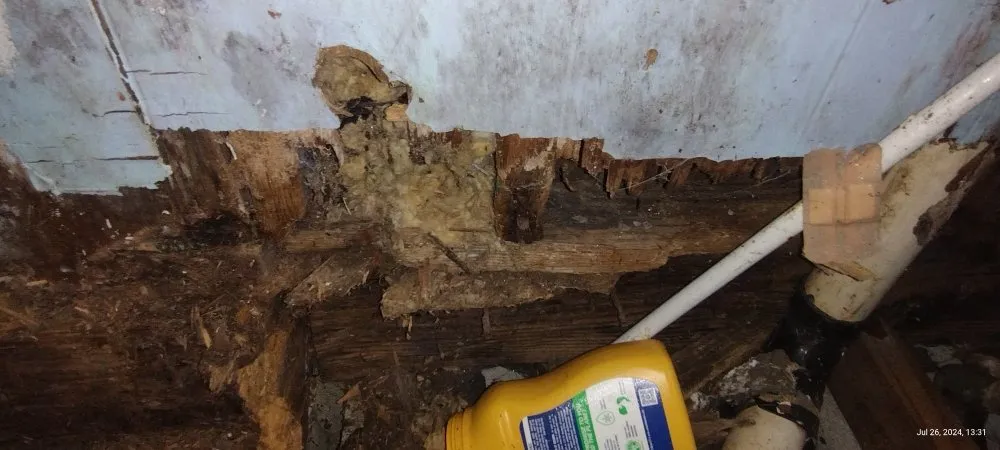 Expert landscape installation in Tiptonville, TN - Elam Home Improvement and Landscaping