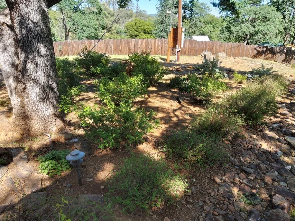 Top-rated outdoor landscaping experts serving Concow, CA - Elam's Land Management
