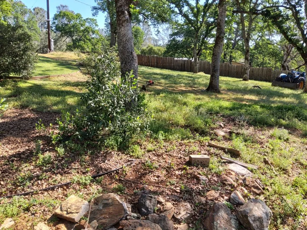 Custom landscape design experts serving Concow, CA - Elam's Land Management