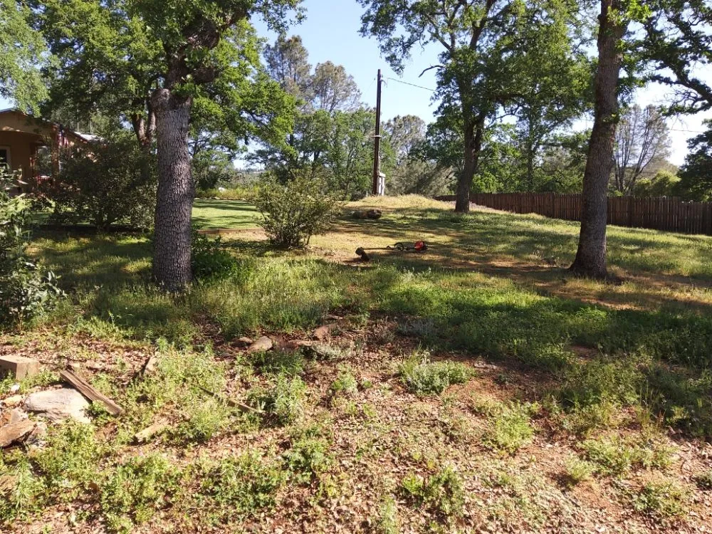 Affordable landscape installation for beautiful yards in Concow, CA by Elam's Land Management