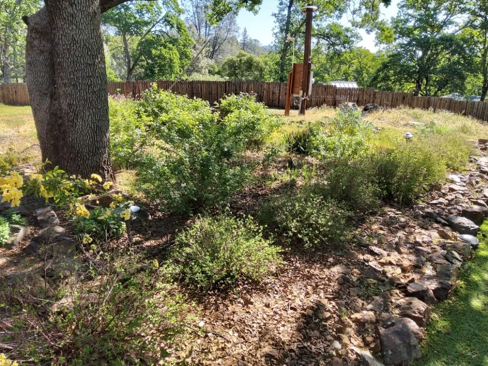 Custom landscape installation in Concow, CA by Elam's Land Management