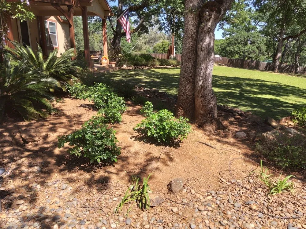 Trusted lawn mowing service in Concow, CA by Elam's Land Management