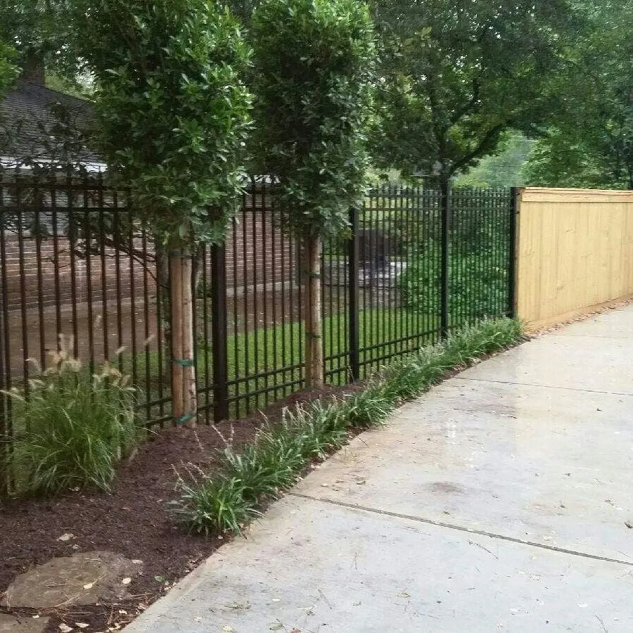 Local yard cleanup service experts serving Houston, TX - Eland Property Services