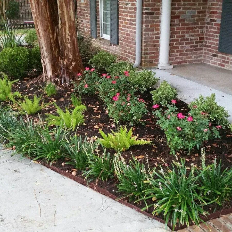 Local residential landscaping in Houston, TX by Eland Property Services