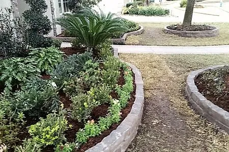 Trusted landscape design in Houston, TX - Eland Property Services