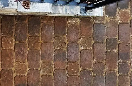 Affordable yard cleanup service in Houston, TX - Eland Property Services