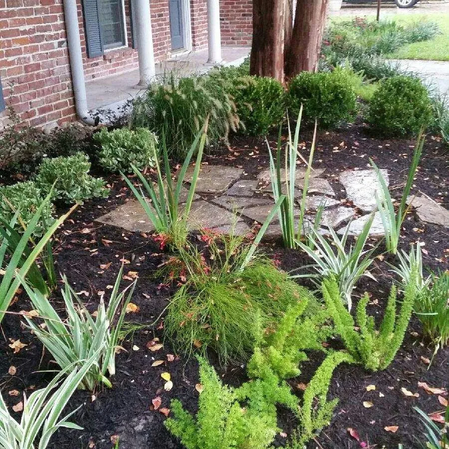 Local garden landscaping for homes in Houston, TX by Eland Property Services
