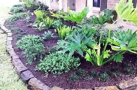 Local landscape installation in Houston, TX by Eland Property Services