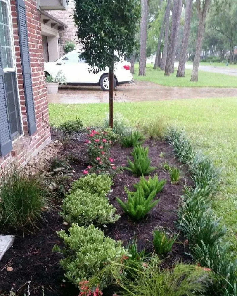 Trusted landscape design experts serving Houston, TX - Eland Property Services