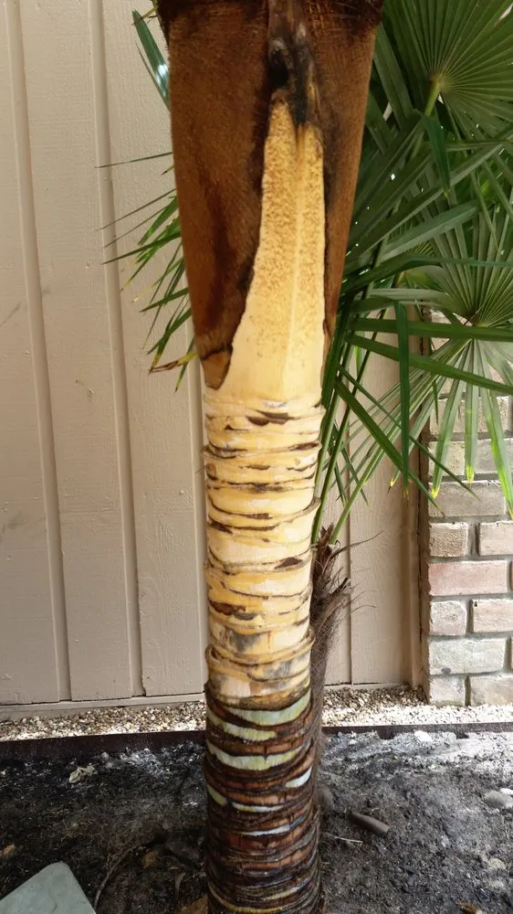 Custom landscape installation for beautiful yards across Houston, TX - Eland Property Services