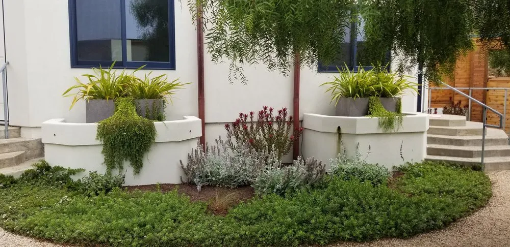 Local landscaping services for beautiful yards in Creston, CA by Elationscapes