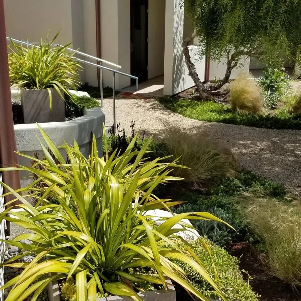 Reliable landscape design in Creston, CA - Elationscapes