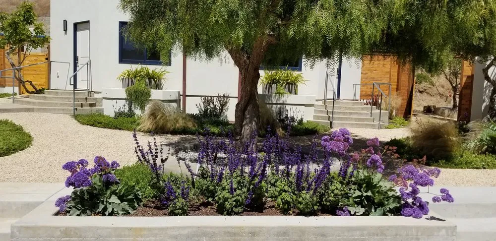 Trusted lawn care service experts serving Creston, CA - Elationscapes