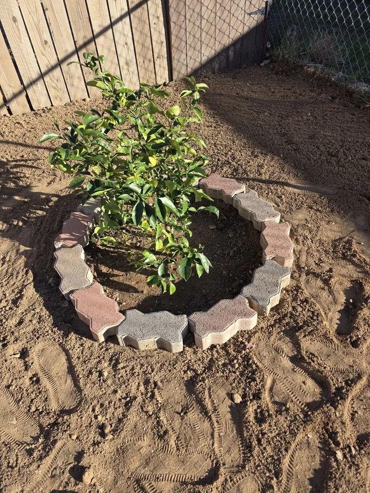 Reliable lawn care service experts serving Hesperia, CA - Elba's Housekeeping & More